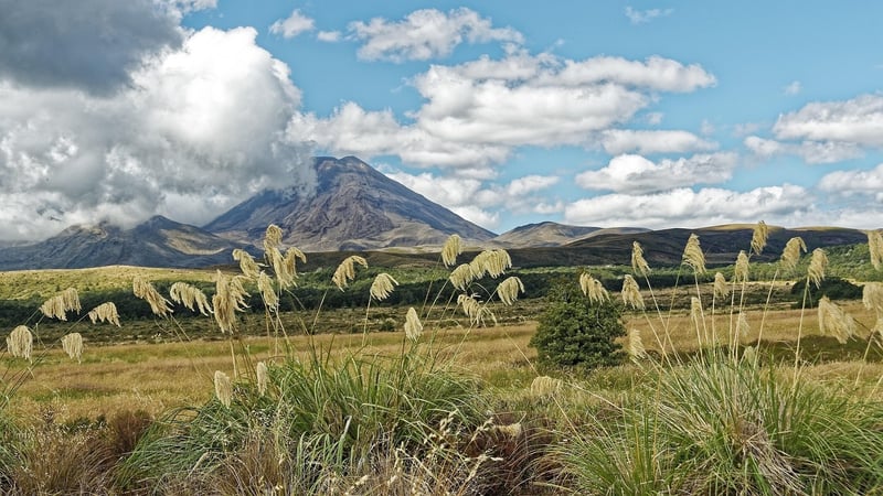 Tongariro Alpine Crossing